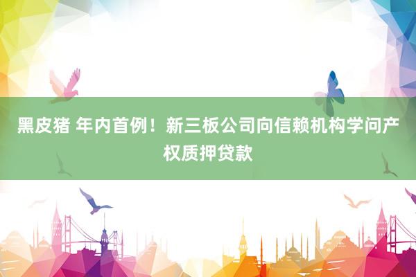 黑皮猪 年内首例！新三板公司向信赖机构学问产权质押贷款